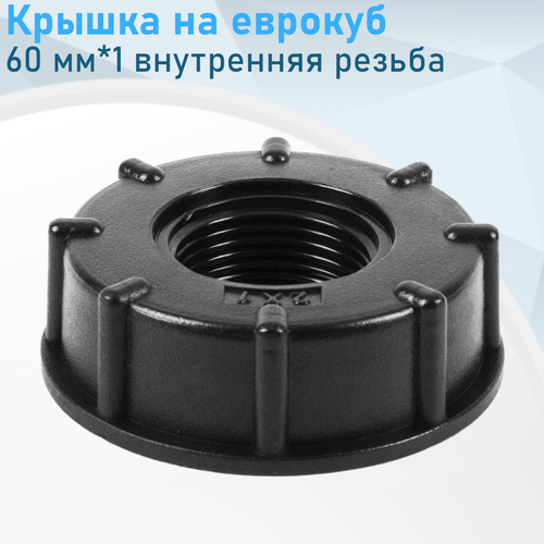 Крышка на еврокуб пластик 60 мм1 внутренняя резьба 2 шт 479₽