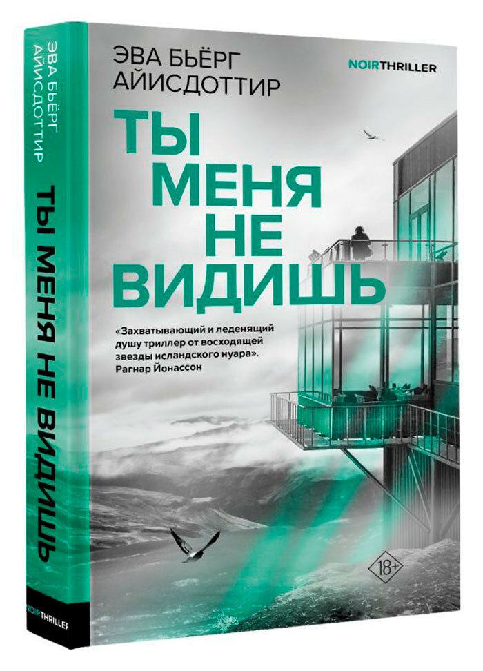 Ты меня не видишь Айисдоттир Э.