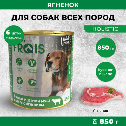 Влажный корм для собак Frais Holistic сочные кусочки мяса в желе с ягненком, 850 гр х 6 шт