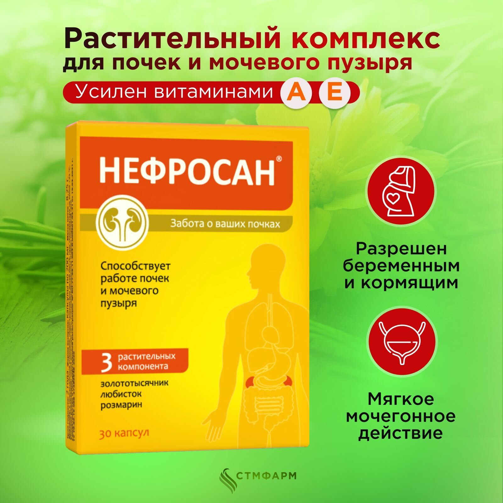 Для почек Нефросан золототысячник, любисток, розмарин, витамины А и Е. БАД для беременных и кормящих, 30 капсул