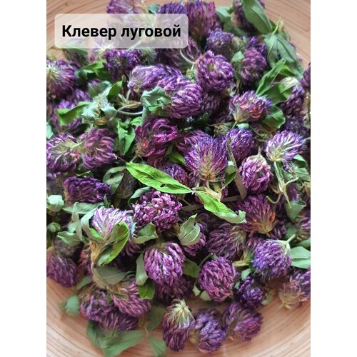 фото Трава сухоцвет клевер, 20 грамм artwitch