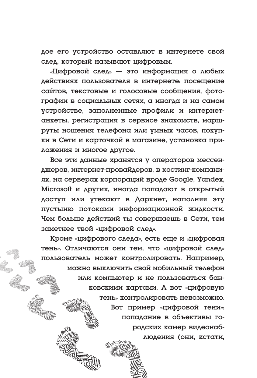 Белый хакер (Эсперанса А.) - фото №19