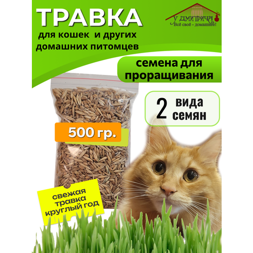Травка для кошек семена, 500 г, и других домашних животных