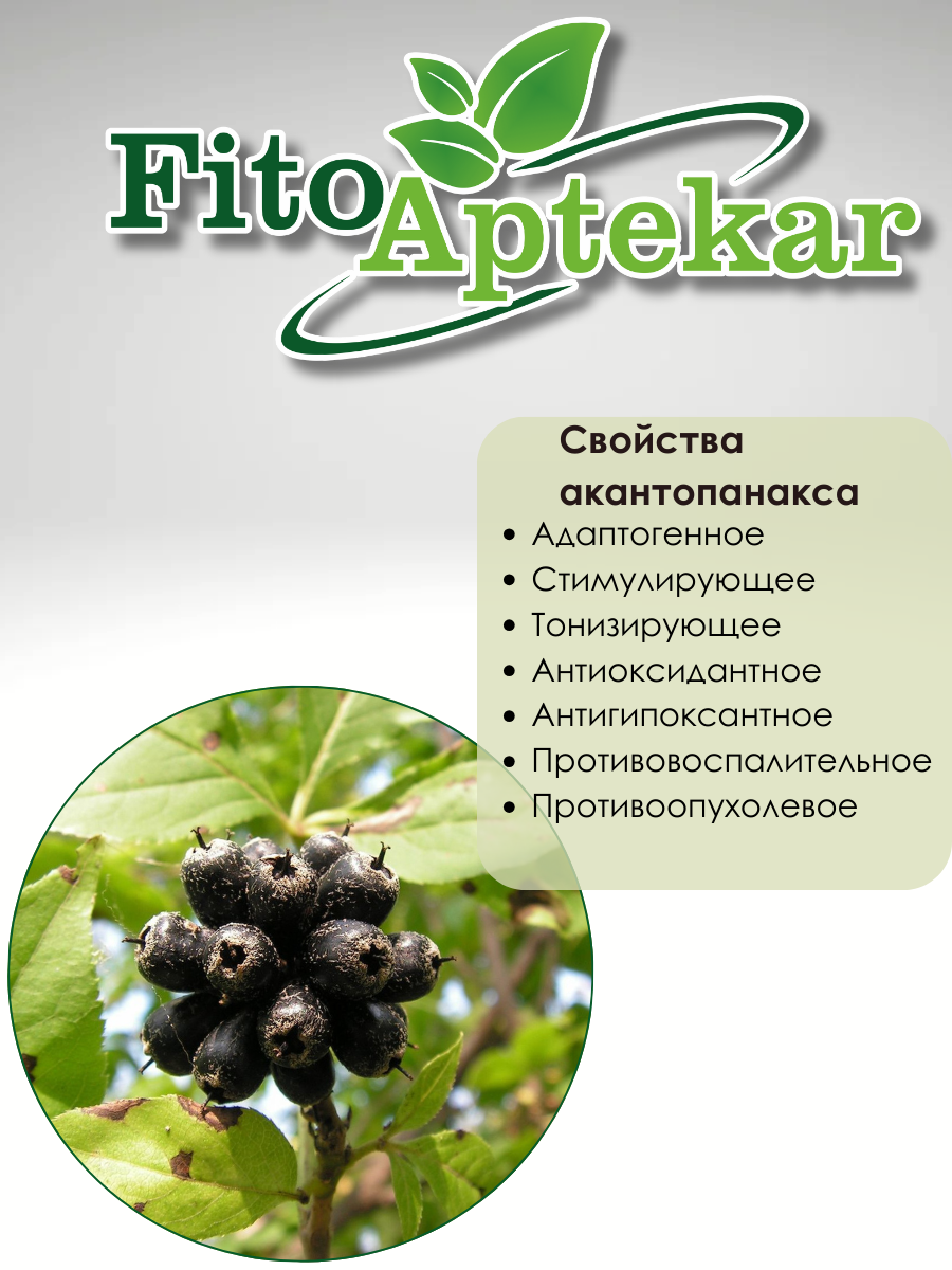 Картинки Акантопанакс корень средняя фракция Фито-Аптекарь, для укрепления организма и половом бессилии, против онкологии, 1 кг