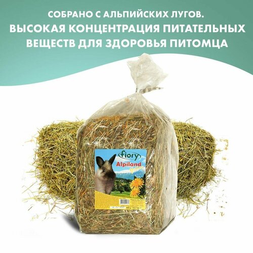 FIORY сено для грызунов Альпийское Alpiland Yellow с одуванчиком 500 г