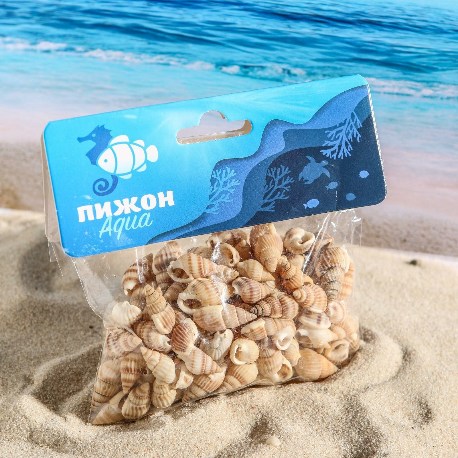 Набор ракушек Пижон Аква для аквариума, 100 грамм, бежевый, 1 шт
