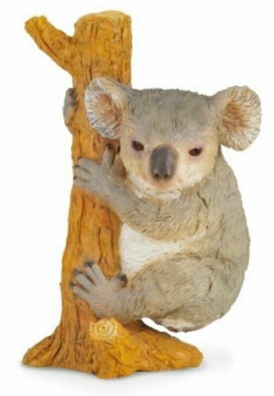 Фигурка Collecta "Коала на дереве", размер М, 8 см