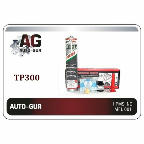 Клей для вклейки стекла TEROSTAT AUTO-GUR TP300