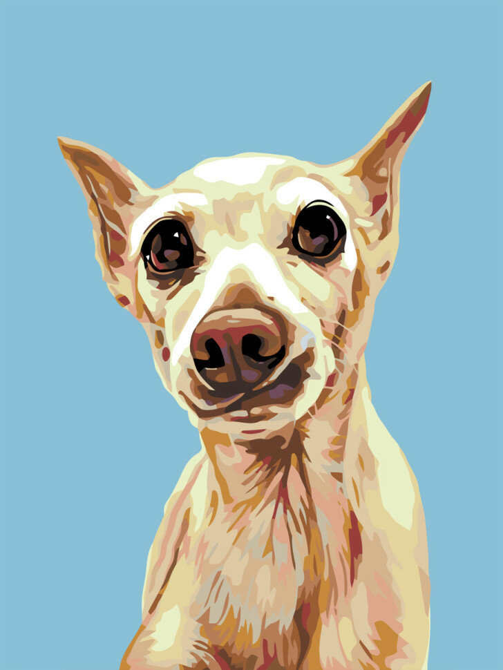 Картина по номерам "Портрет собаки" — фото 1