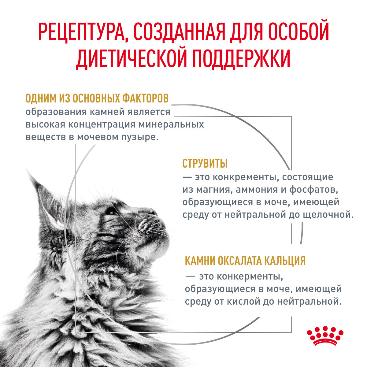 Сухой корм Royal Canin Urinary S/O для кошек при лечении МКБ Диетический, 350 г х 2 шт. — фото 1