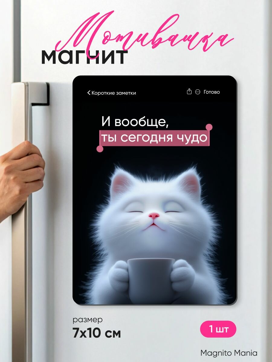 Магнит на холодильник мотивашка 1шт, 7х10см