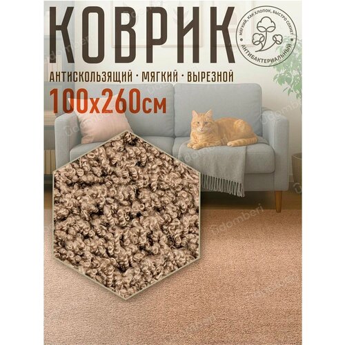 фото Ковер комнатный напольный с ворсом для зала 100х260 vdomberi