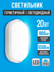 Светильник 20вт 6500К овал LEEK , светодиодный, влагозащищенный, IP65