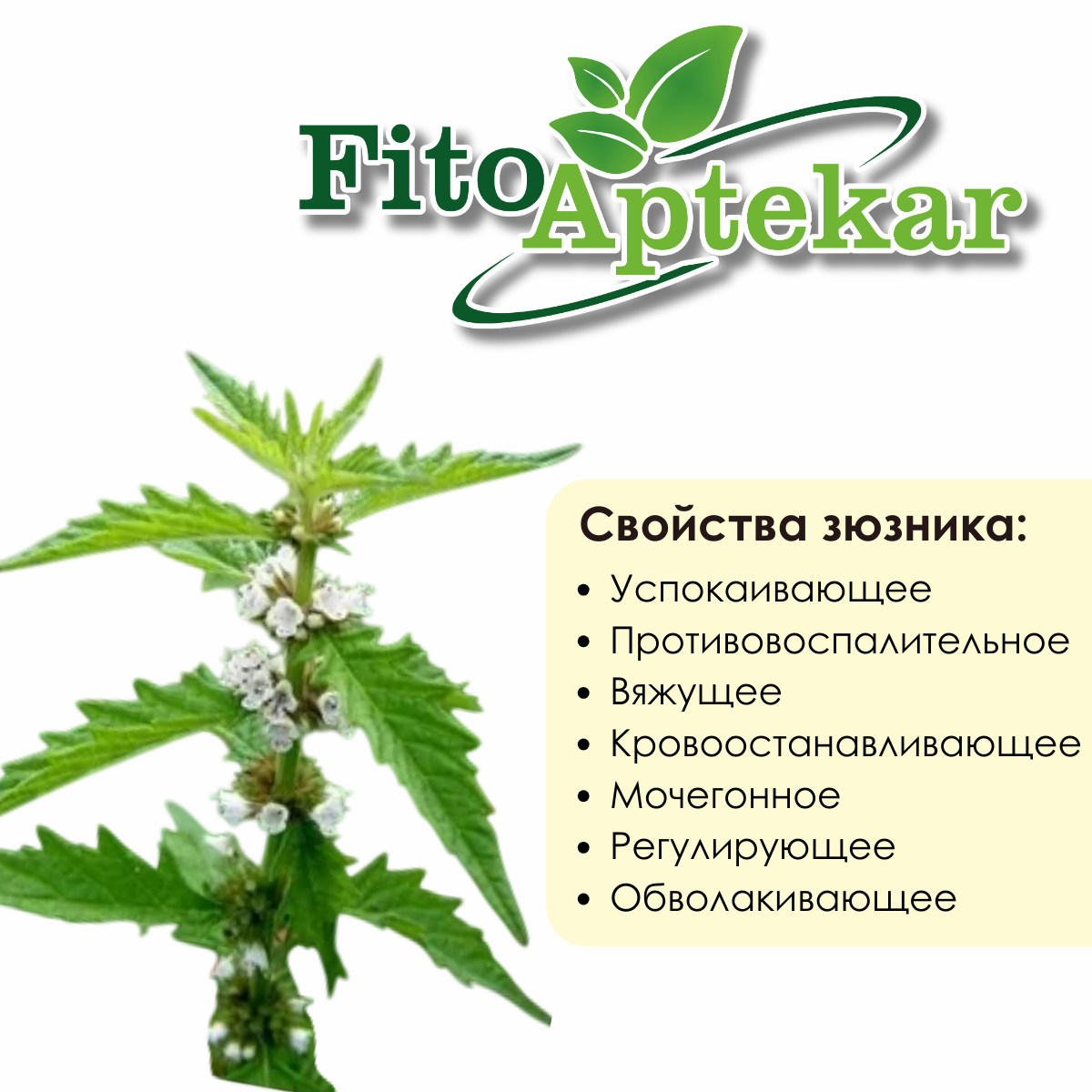 Картинки Зюзник европейский трава средняя фракция Фито-Аптекарь, при гипертиреозе и сердечной недостаточности, 500 гр