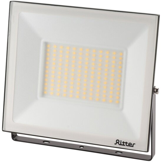 Прожектор Ritter светодиодн PROFI 230В 100 Вт 4000К 10000Лм IP65 черный 53419 2