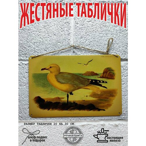 Птицы постер 20 на 30 см, шнур-подвес в подарок