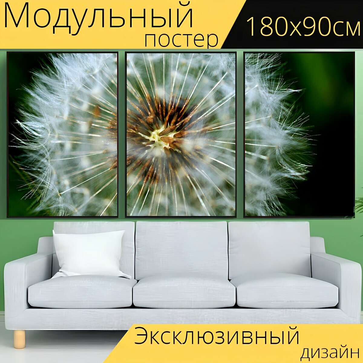 Модульный постер "Семена одуванчика, сорняк, одуванчик" 180 x 90 см. для интерьера