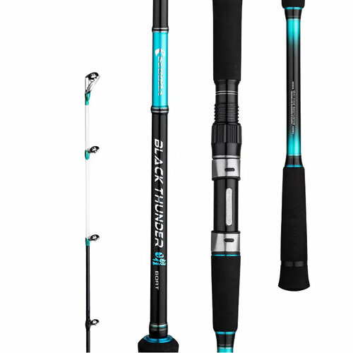 фото Ecooda, спиннинг black thunder offshore light boat 30-165s