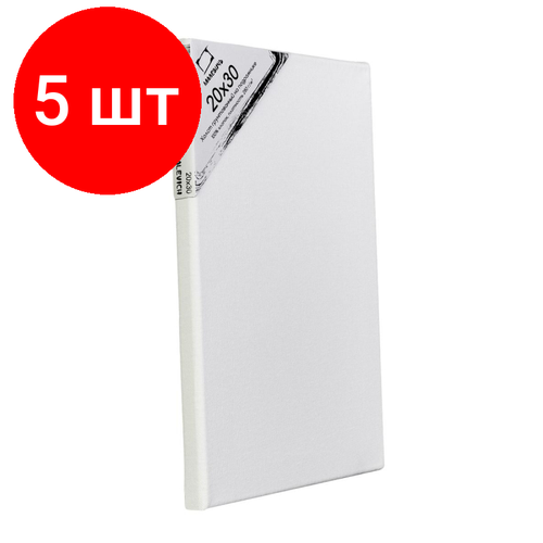 Комплект 5 штук, Холст на подрамнике Малевичъ, хлопок 280 гр, 20х30 см,232030