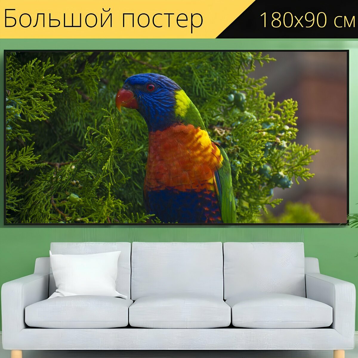 Большой постер "Птица попугай мускусный лорикет" 180 x 90 см. для интерьера