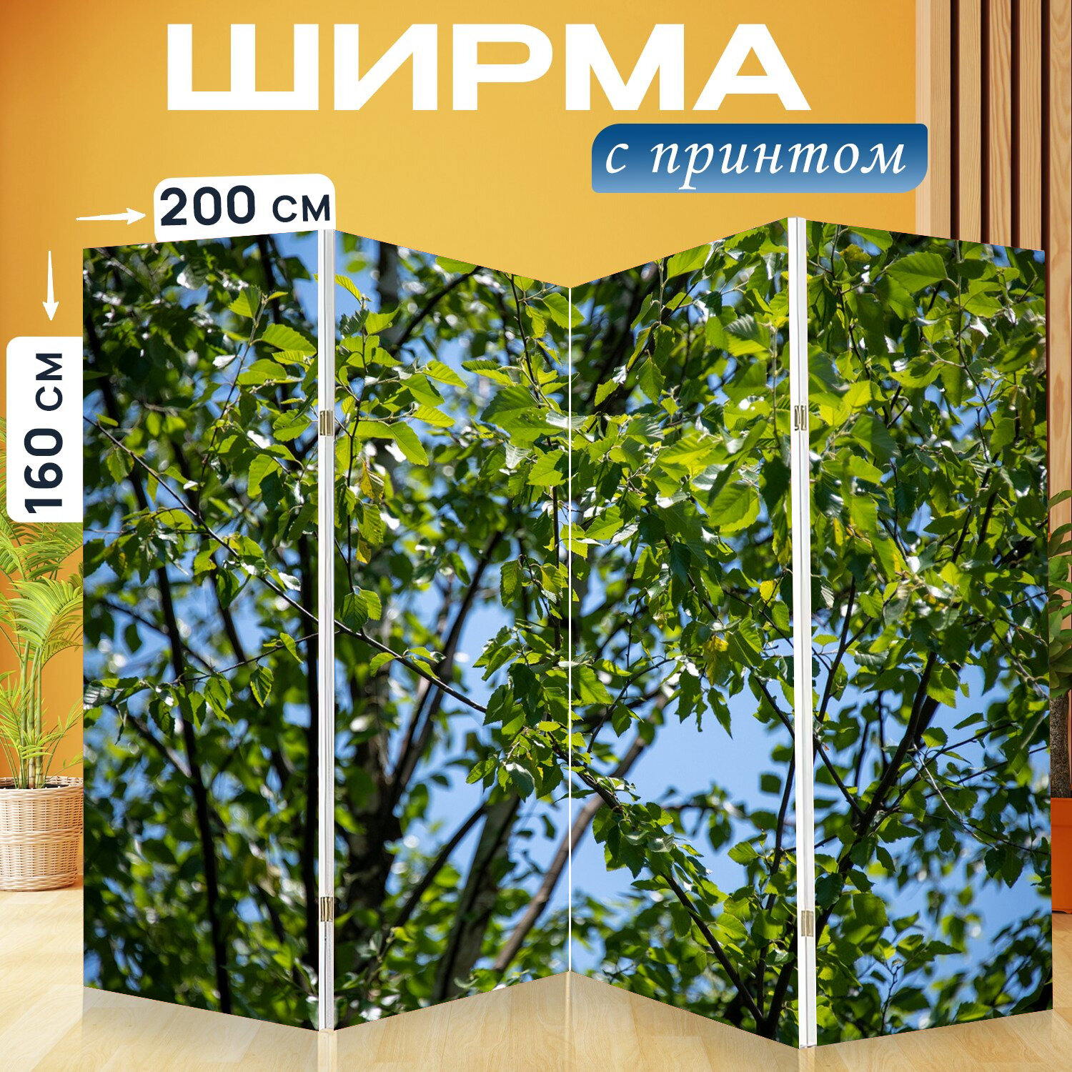 Ширма перегородка с принтом "Листья, дерево, лист" на холсте - 200x160 см. для зонирования, раскладная