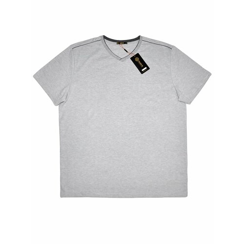 Футболка FAZO-R, размер 66, серый