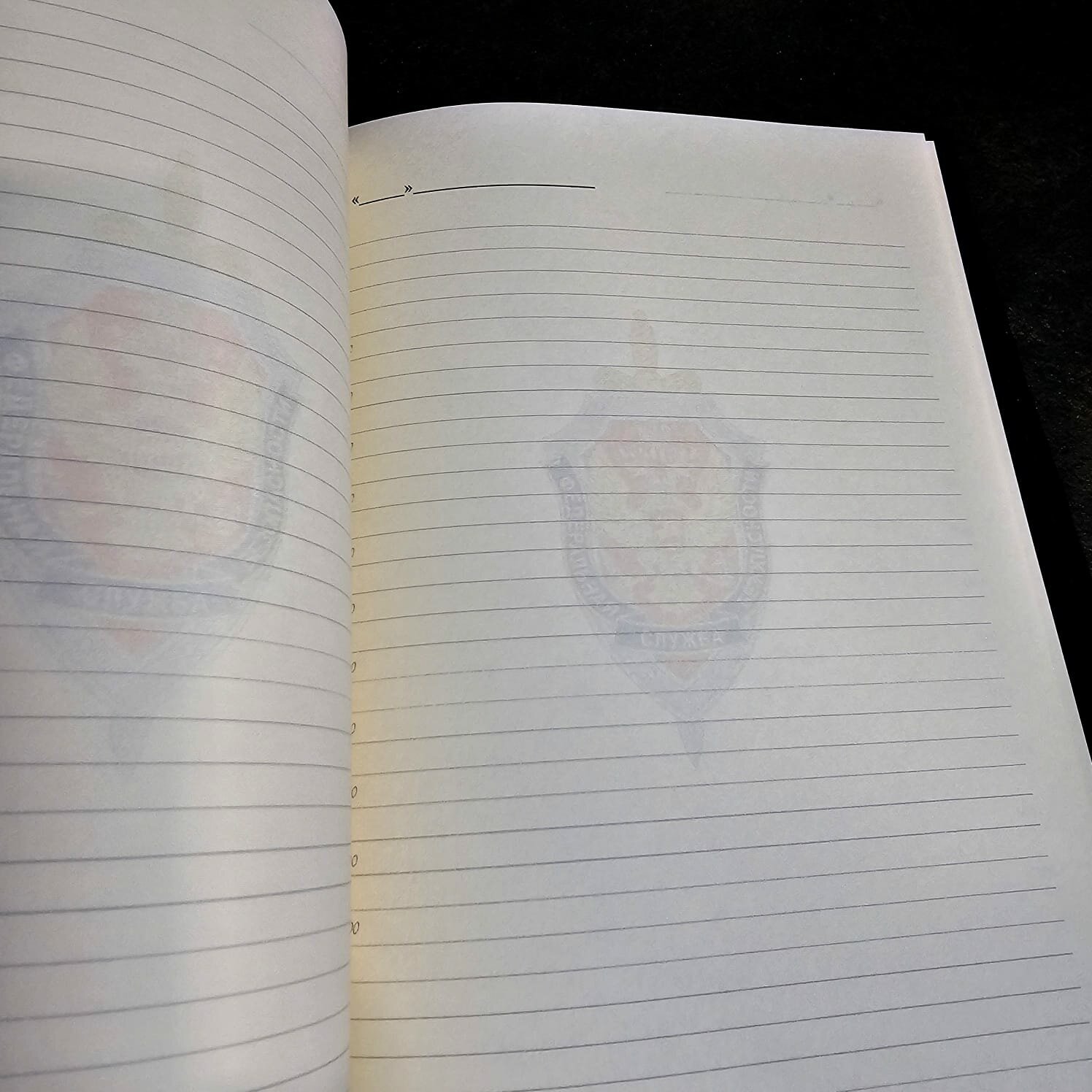 Ежедневник герб ФСБ РФ, натуральная кожа — фото 1