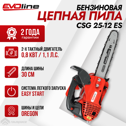 Пила бензиновая цепная EVOline CSG 25-12 ES