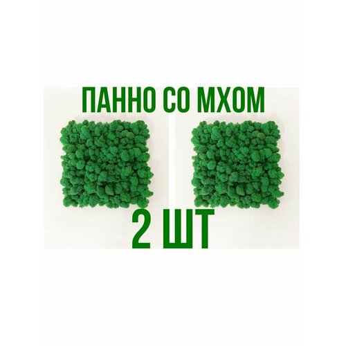 Панно со мхом