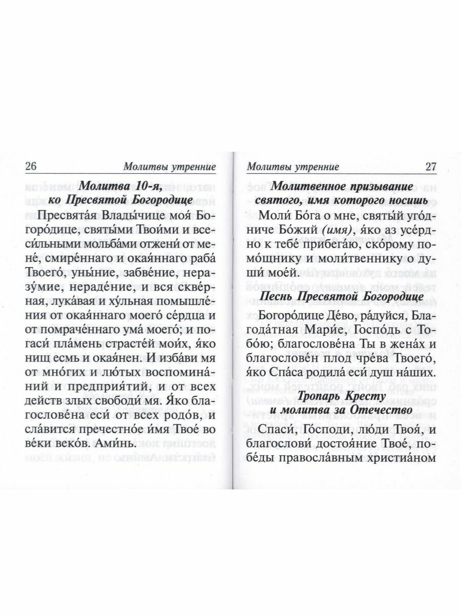 Молитвослов с молитвами о болящих. Православный - фото №18