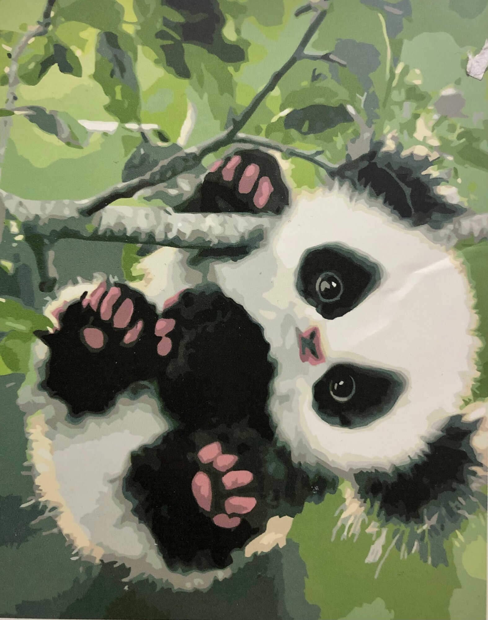 Картина по номерам Paintboy 40х50 см "Малыш панды", холст на подрамнике