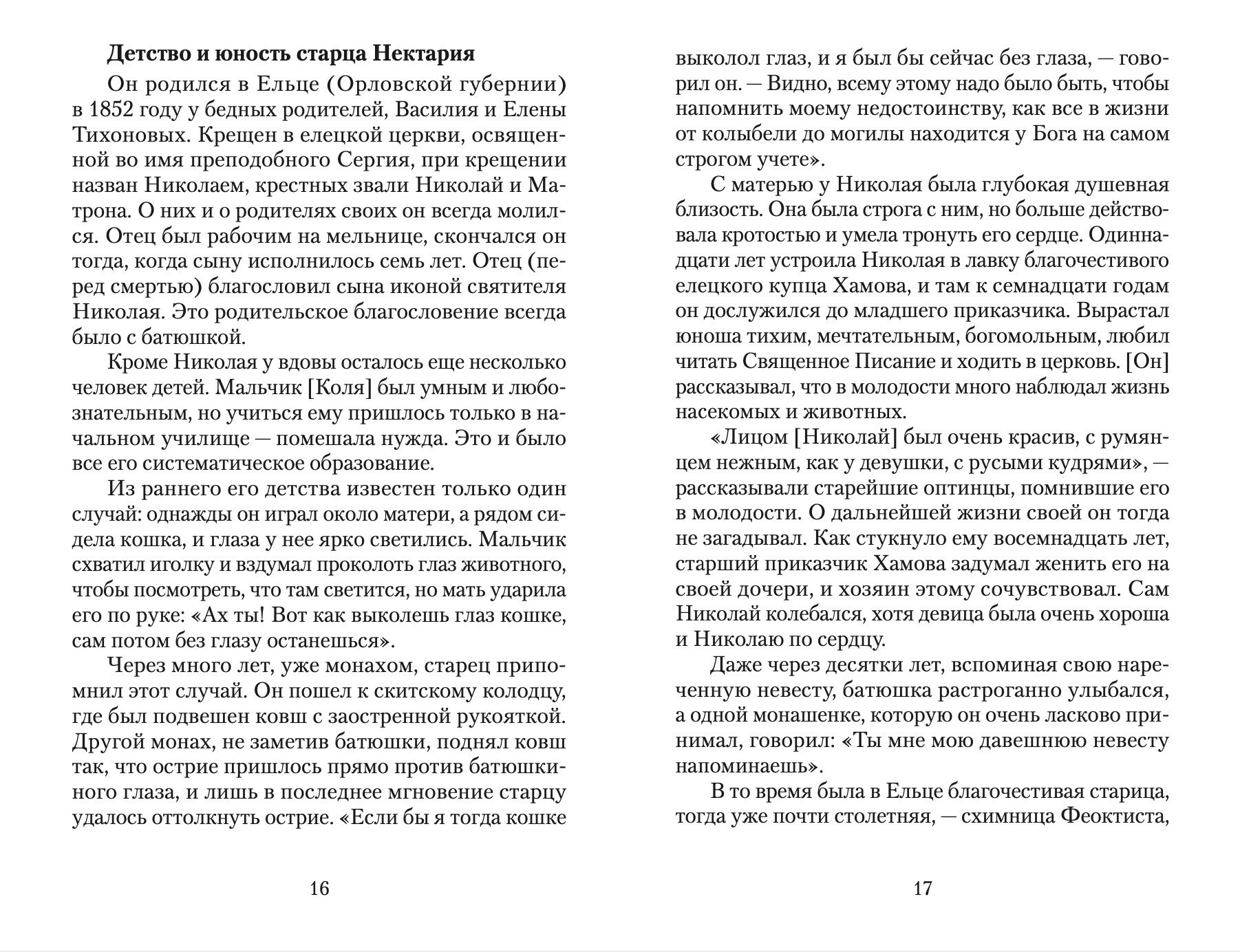 Великая брань старца Нектария. Воспоминания Н. А. Павлович о преподобном Нектарии Оптинском - фото №8