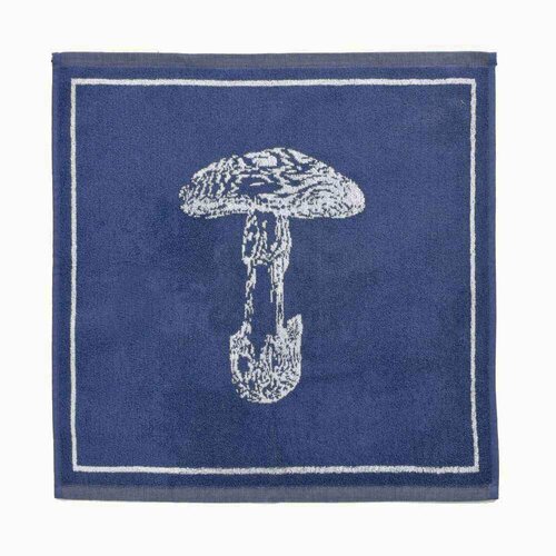 Полотенце кухонное 5050 Coucke 55747 1200₽