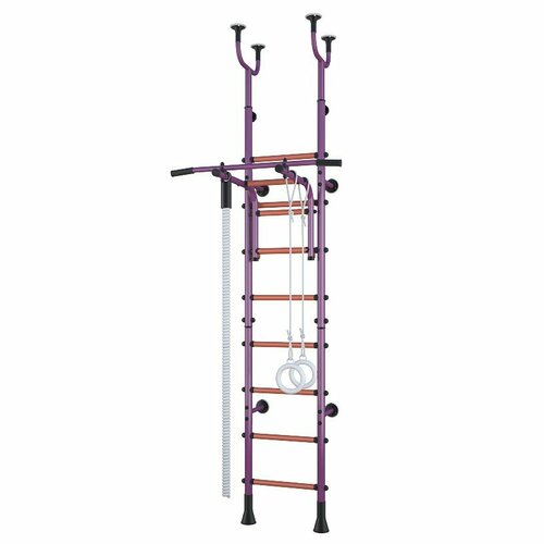 Детский спортивный комплекс Polini Sport Active комбинированный фиолетовый 10990₽