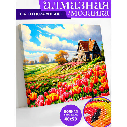 Алмазная мозаика на деревянном подрамнике 40х50 см 