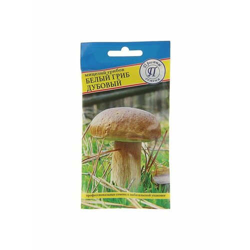 Мицелий Белый гриб дубовый, 50 мл семена гриб белый дубовый
