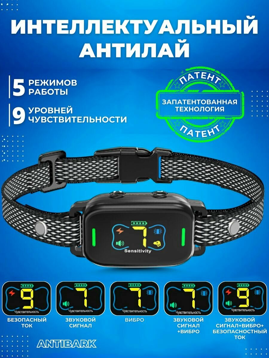 фото Антилай. Автоматический ошейник от лая.