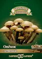 Мицелий грибов Гавриш Грибное лукошко Опенок летний на древесной палочке 12 шт.