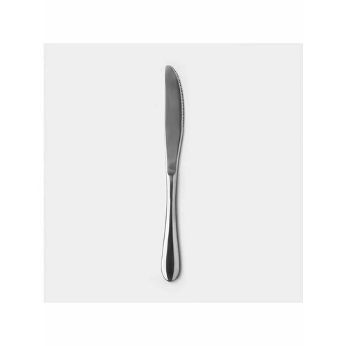 Нож столовый 23х2 см 613₽