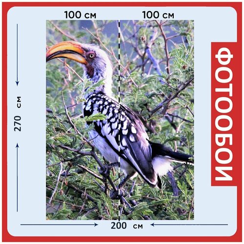 Фотообои Желтый выставлен счет хорнбилл куст желтый 200x270 см флизелиновыена стену 2980₽