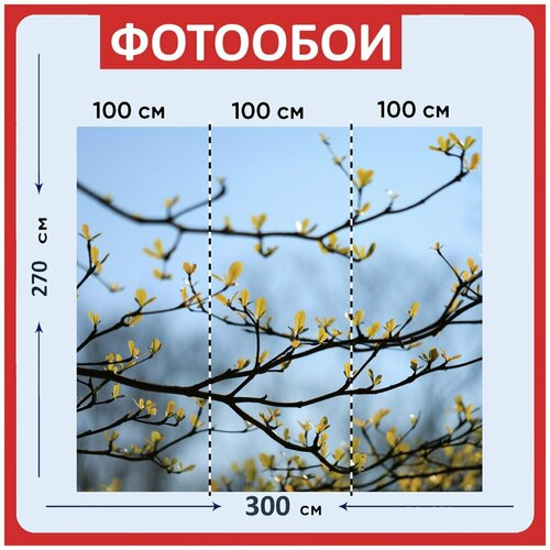 Фотообои Листья зеленый весна 300x270 см флизелиновыена стену 3960₽