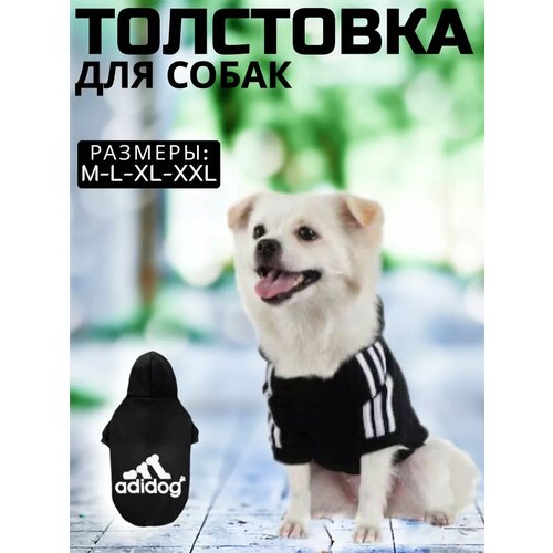 Толстовка для собак