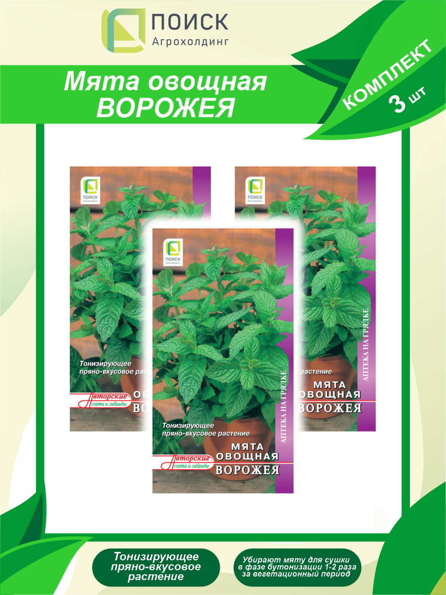 Семена Мята овощная Ворожея х 3 шт.