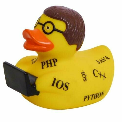 Уточка Программист
