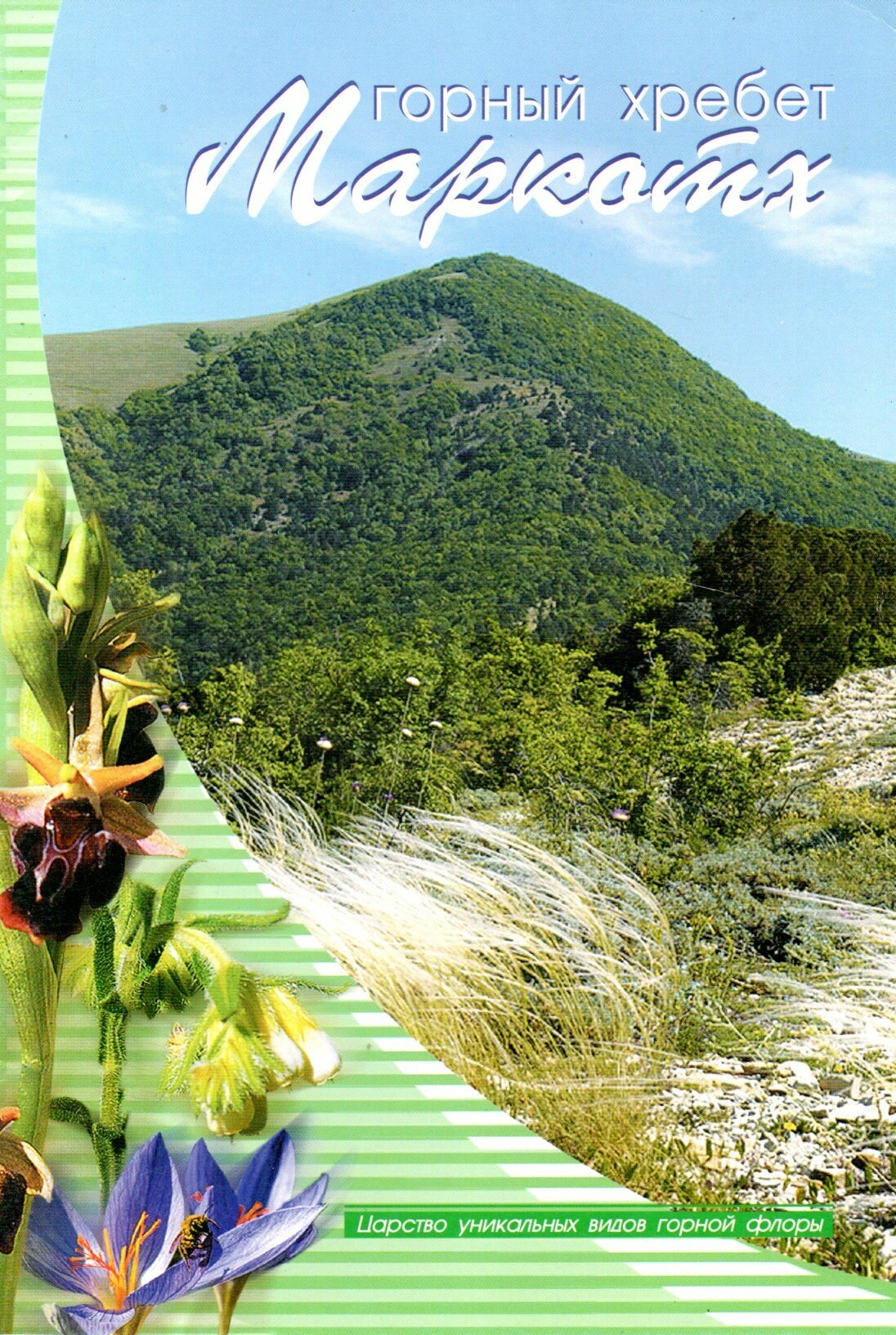 Горный хребет Маркотх