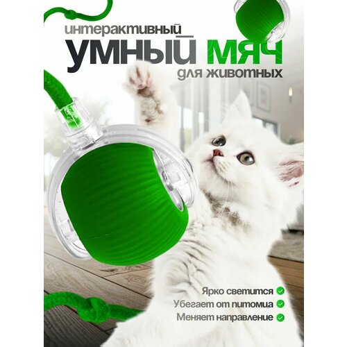 Интерактивная игрушка для кошек и собак "Умный мяч", для развития интеллекта, зеленый