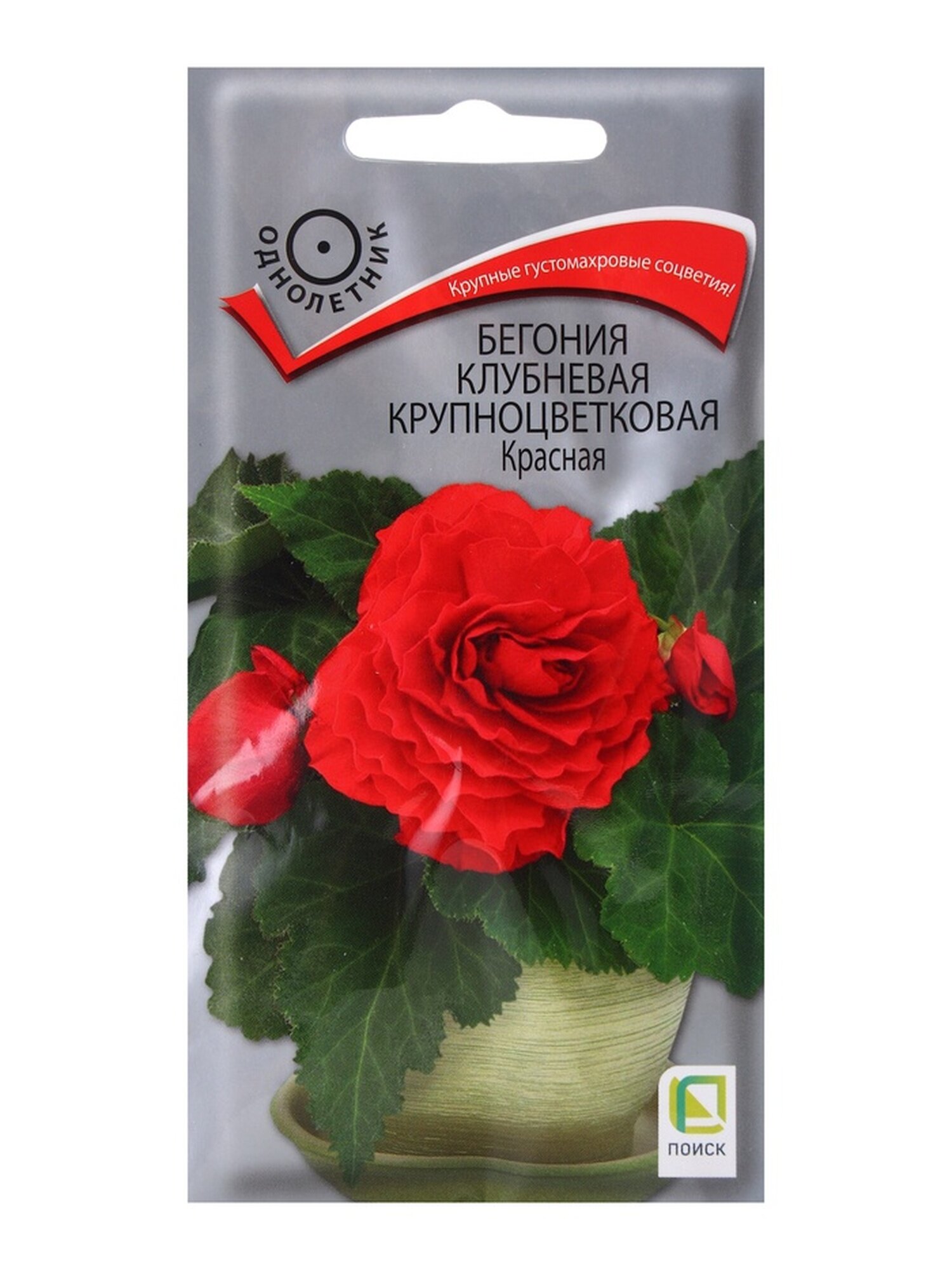 Семена цветов Бегония клубневая крупноцветковая Красная 5шт