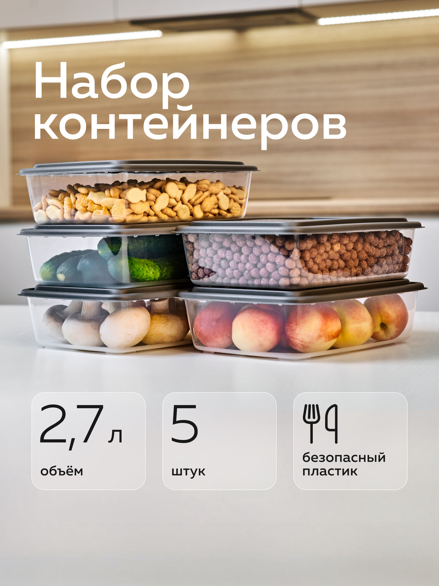 Набор контейнеров «Гурман», Альт-Пласт, графит, 2,7лх5 (5шт)