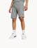 ESS Shorts 10" 682598