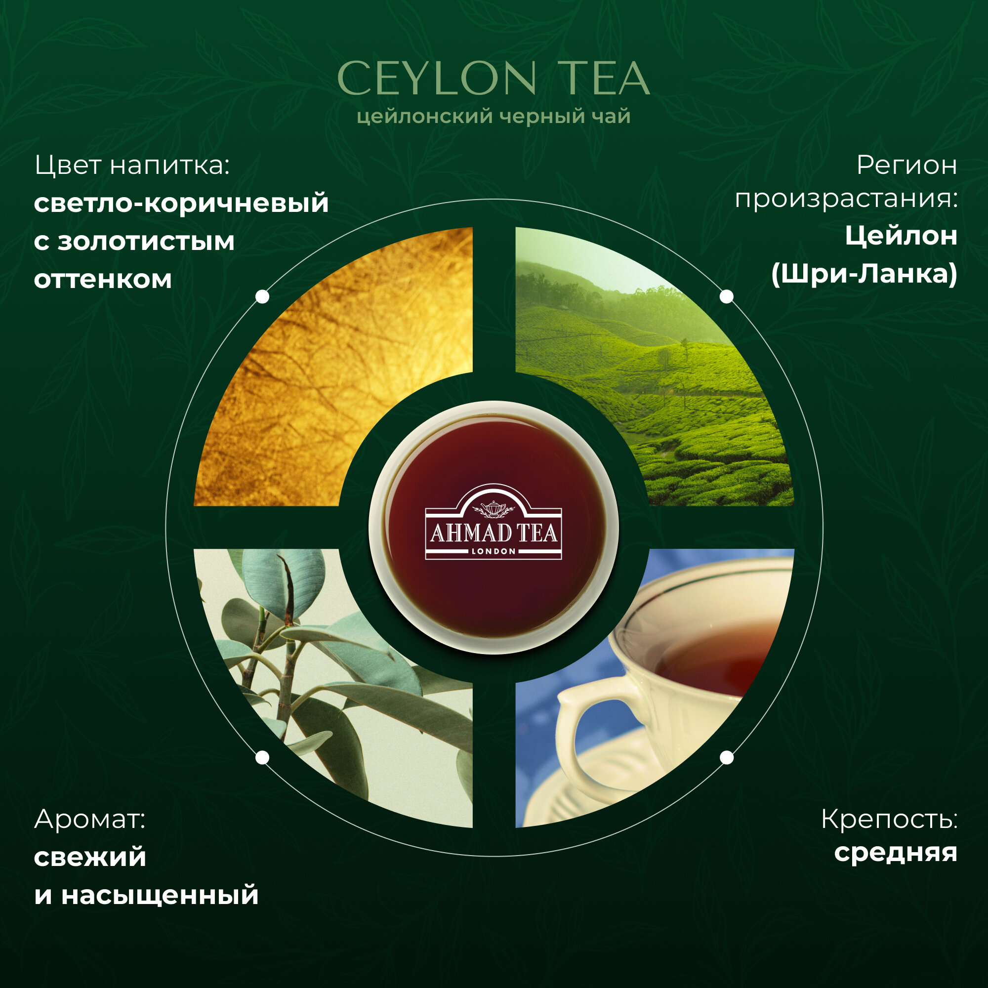 Чай AHMAD "Ceylon Tea", комплект 2 шт., черный, 100 пакетиков с ярлычками по 2 г, 163i-08 Ahmad Tea - фото №3